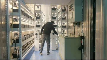 Containerized plant mobile planting racks