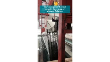 Video 5