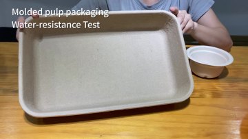 Hot sale biodegradable recycle disposable rectangle paper pulp cat litter tray box1