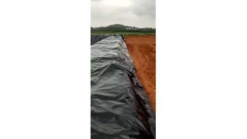 pond liner.mp4