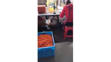 WeChat_20230407164943