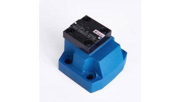 S10P check valve