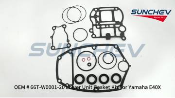 66T-W0001-20 Lower Unit Gasket Kit