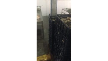 Abalone blanching line