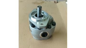 Variable speed pump, walking pump