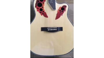 TS-JB41 guitar