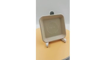 eco product bagasse meat tray