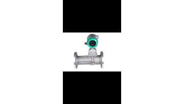 Vortex flowmeter