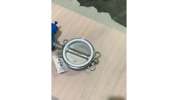 Hydraulic clamping butterfly valve