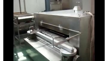 Automatic Swing Roaster 2-1