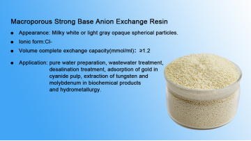 Macroporous anion ion exchange resin