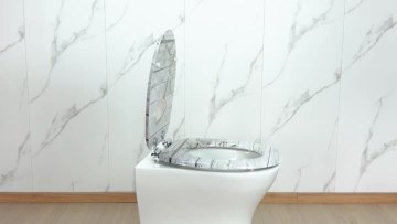 Fanmitrk Toilet Seat MDFDJ2502
