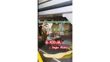 Automatic Fruit Peeling Machine