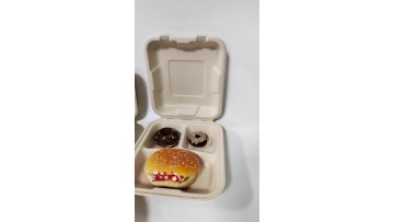 100% Biodegradable Food Containers Biodegradable Disposable Carry Containers take away food box1