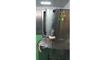 Fruit and vegetable peeling machine