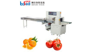 Automatic Pillow Vegetable Package Machine Fruits Meat Food Vegetable Packaging Machine1