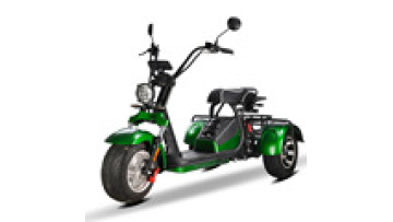 2000W Adult Electric Motorcycle Scooter Tricycle - Citycoco Electric Vehicle1