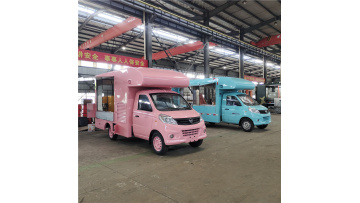 Customized street food truck