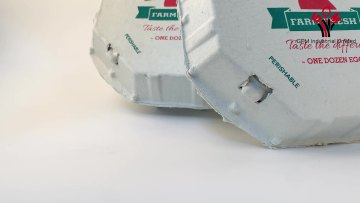 Paper pulp 12 cell Octogon egg carton1