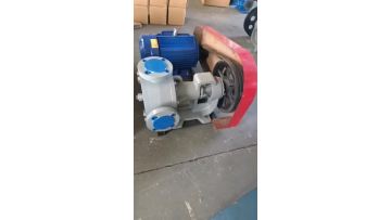 viking pump internal gear pump   Rubber adhesive high viscosity gear pump1