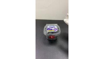 mini blueberry packaging