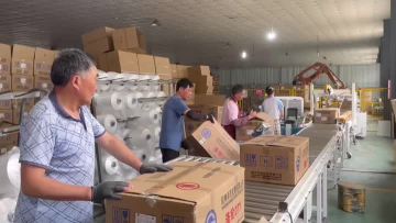 Packing in the workshop