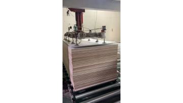 1220*2440*18mm 13-Layers Plywood with White UV Melamine Glossy Surface