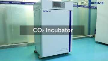BIOBASE Hot Sale Microbiological Incubator Cell Culture LCD Display Air Jacket CO2 Incubator Price1