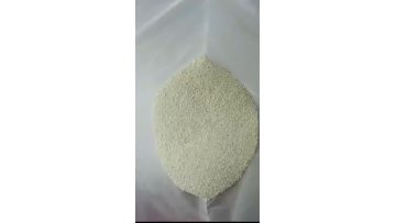 lysine hcl 98.5%