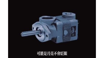 V10/V20 Series Vane Pumps