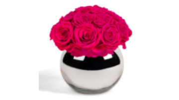 Eternal Roses: Natural Eternal Dome Floral Fleur Immortal Flowers for Mother's Day 2025 Gifts1