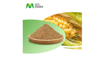 Health Care Raw Material Corn Silk Extract Powder1