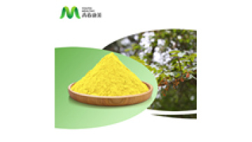 High Grade Organic Powder Cotinus Coggygria Extract Bulk Fisetin 98% Pure Natural1