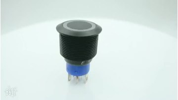 Metal Push Button (2)