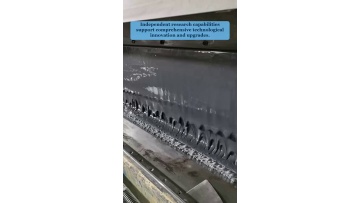 Video 31