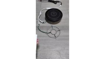 Speaker ambient light ring demo