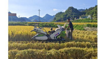 4LZ-1.2B small rice combine harvester