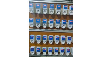 Digital 220V/110V 16A VDE Voltage Protector1
