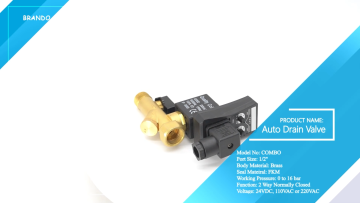 1/2'' Timer Controlled Condestate Auto Drain Valve