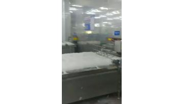 frozen shrimp grading process