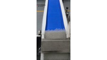 Vial washing drying and filling line