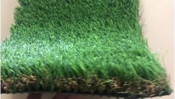 dark coffee landscape grass0601