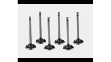 Exhaust Valve 20441945 for Engine Systems