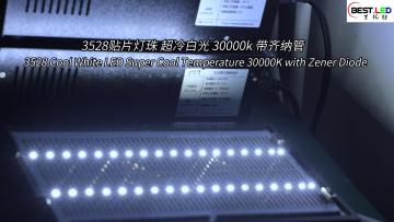 3528 Cool White LED 30000K with Zener Diode