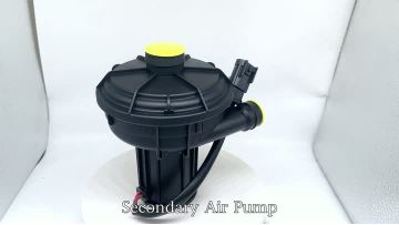 Secondary Air Pump