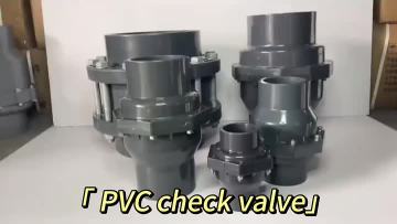 PVC Plastic Check Valve