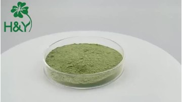 barley grass powder.mp4