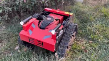 lawn mover  (1)