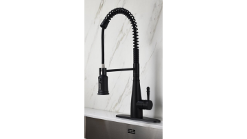 Pulldown Durable Spring Kitchen Faucet