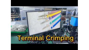 Terminal Crimping